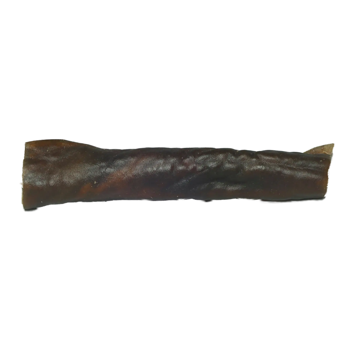 camel scalp