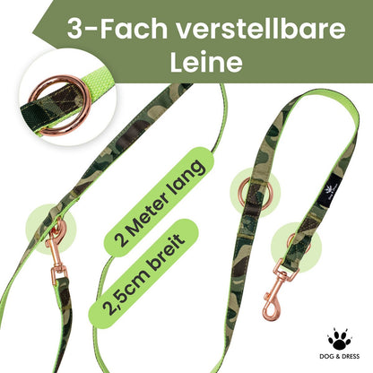 Hundehalsband + Leine Set "Ranger" inkl. Geschenkbox