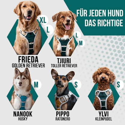 Hundegeschirr + Leine Set "Rocket"