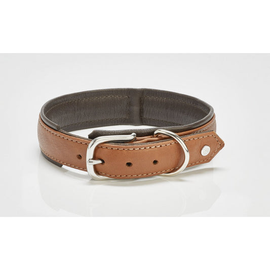 AMICI Dog Collar Cognac