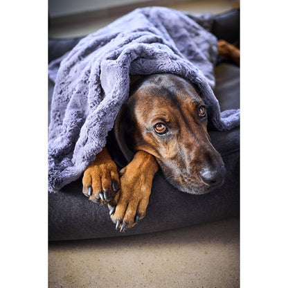 COZY Faux Fur Kuscheldecke