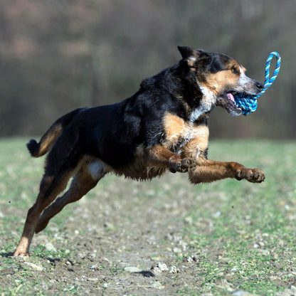 Maxi Schleuderball, blau