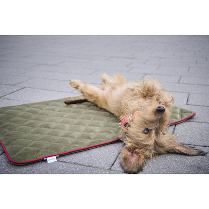 Hundedecke OXFORD, olive