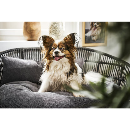 PRADO Design-Hundebett TUDOR