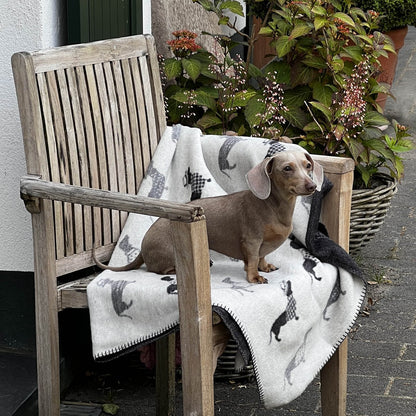 Kuscheldecke TECKEL, Motiv: DACKEL