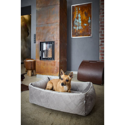 OXFORD Taupe Hundebett