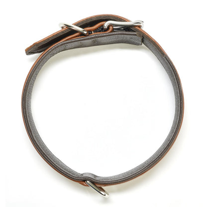 AMICI Hundehalsband Cognac