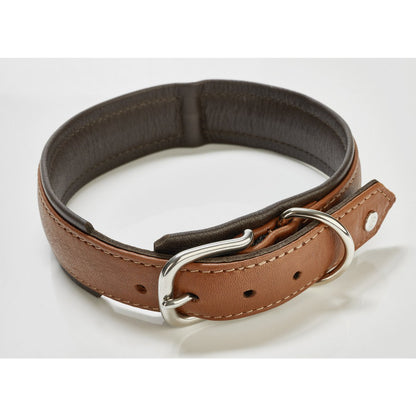 AMICI Hundehalsband Cognac