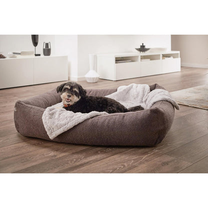 ORTHO Hundebett - TEDDY