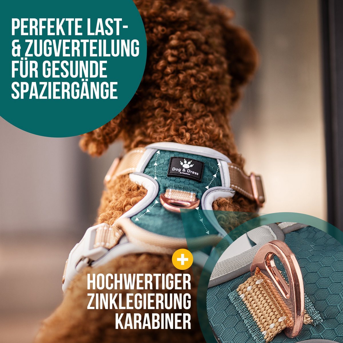 Hundegeschirr + Leine Set "Rocket"