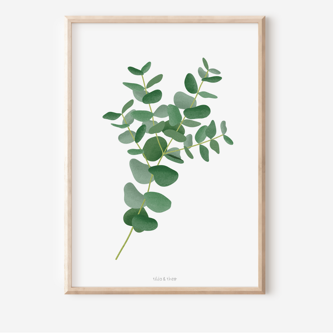 Poster Eukalyptus Zweig Botanischer Print Zweig - Wanddeko Eukalyptus