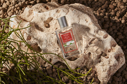 Fragrance "Walk in the Hills of Tuskany"