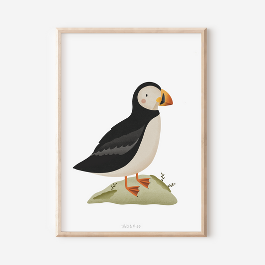 Puffin / Puffin - Iceland. Poster