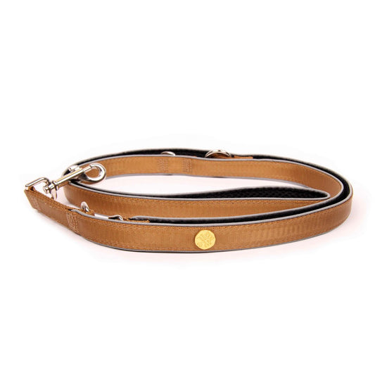 Dog leash Gold-Black-Edition, M