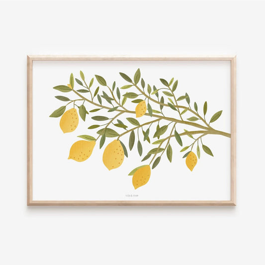 Poster - Lemon branch / Italy