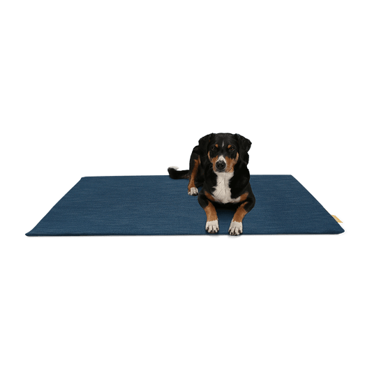 BUDDY. Dog mat made from recycled PET bottles